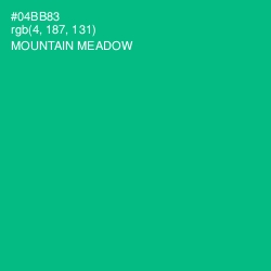 #04BB83 - Mountain Meadow Color Image